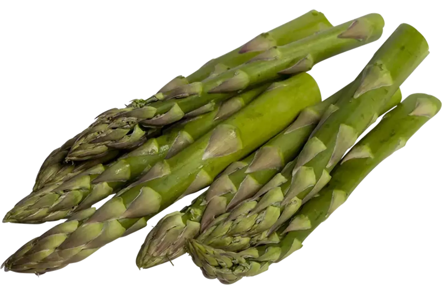 Asperge groen 8cm bak 1kg kist 6 stuks